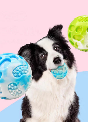 Pet dog toys are sturdy and durable, can alleviate teething discomfort, and are suitable for use during outdoor training. www.AmBreak.com