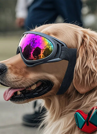 Pet Adjustable Dog Goggles Sunglasses Anti-UV Sun Glasses Eye Wear Protection Black Widely Used Dog Sunglasses Pet Dog Supplies www.AmBreak.com