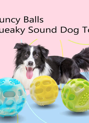 Pet dog toys are sturdy and durable, can alleviate teething discomfort, and are suitable for use during outdoor training. www.AmBreak.com