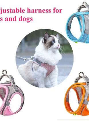 Indestructible Cat Dog Toys for Aggressive Chewers Cats Dogs,Chew Squeak Toy Cats Dogs Interactive Plush Doll Pet Products