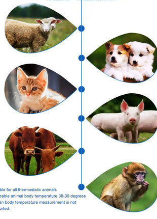 Waterproof Pet Thermometers Vet Tech Thermometers Puppy Thermometers Fever Detection Device For Pet High-Precision Accurate Led www.AmBreak.com