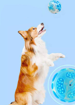 Pet dog toys are sturdy and durable, can alleviate teething discomfort, and are suitable for use during outdoor training. www.AmBreak.com