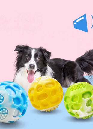 Pet dog toys are sturdy and durable, can alleviate teething discomfort, and are suitable for use during outdoor training. www.AmBreak.com