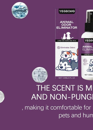 Pet deodorant spray, clean odor, clean dog and cat litter, litter, antibacterial disinfection, pet deodorant www.AmBreak.com