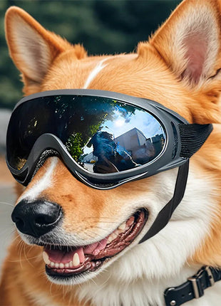 Pet Adjustable Dog Goggles Sunglasses Anti-UV Sun Glasses Eye Wear Protection Black Widely Used Dog Sunglasses Pet Dog Supplies www.AmBreak.com