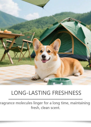 Pet deodorant spray, clean odor, clean dog and cat litter, litter, antibacterial disinfection, pet deodorant www.AmBreak.com