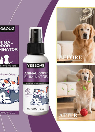 Pet deodorant spray, clean odor, clean dog and cat litter, litter, antibacterial disinfection, pet deodorant www.AmBreak.com