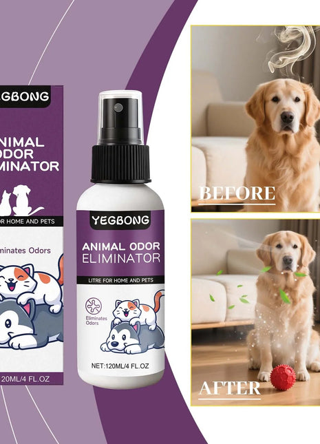Pet deodorant spray, clean odor, clean dog and cat litter, litter, antibacterial disinfection, pet deodorant www.AmBreak.com