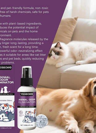 Pet deodorant spray, clean odor, clean dog and cat litter, litter, antibacterial disinfection, pet deodorant www.AmBreak.com