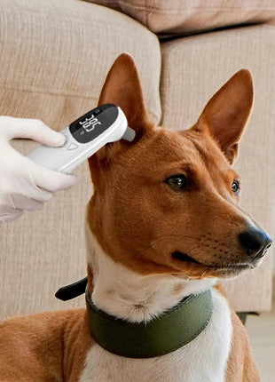 Waterproof Pet Thermometers Vet Tech Thermometers Puppy Thermometers Fever Detection Device For Pet High-Precision Accurate Led www.AmBreak.com