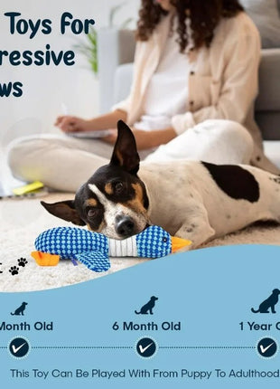 Indestructible Cat Dog Toys for Aggressive Chewers Cats Dogs,Chew Squeak Toy Cats Dogs Interactive Plush Doll Pet Products - www.AmBreak.com - 