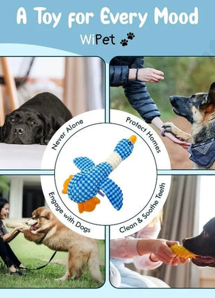 Indestructible Cat Dog Toys for Aggressive Chewers Cats Dogs,Chew Squeak Toy Cats Dogs Interactive Plush Doll Pet Products - www.AmBreak.com - 