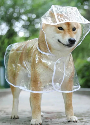 Pet Dog Puppy Transparent Rainwear Raincoat Pet Hooded Waterproof Jacket Clothes Soft PVC Small Dogs Raincoat Puppy Rain Poncho - www.AmBreak.com - 