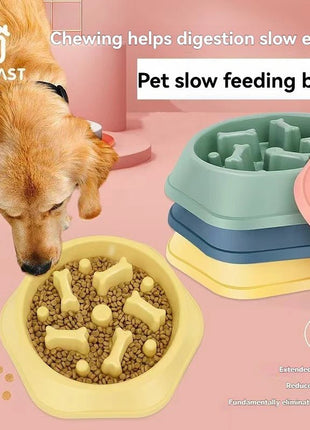 Pet Food Bowl, Environmentally Friendly - www.AmBreak.com - 