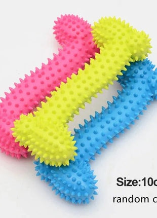 Pet Toys for Small Dogs Rubber Resistance To Bite Dog Toy Teeth Cleaning Chew Training Toys Pet Supplies Puppy Dogs - www.AmBreak.com - 
